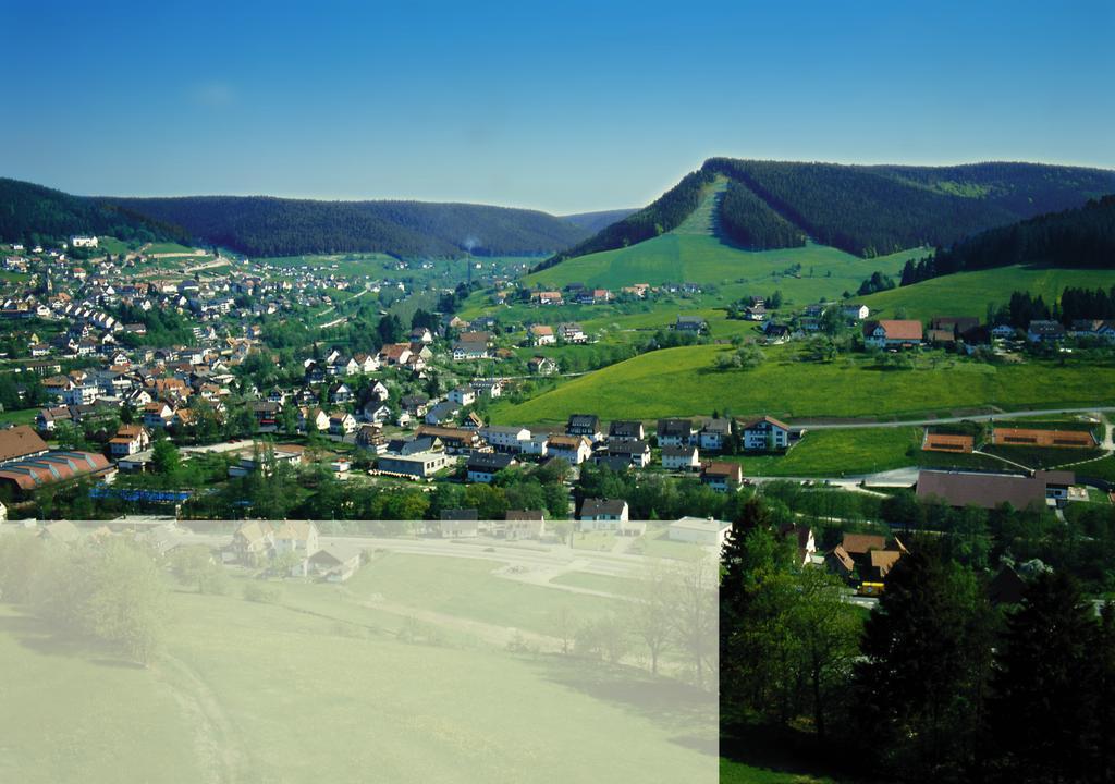 Haus Bergwiese Baiersbronn Eksteriør bilde